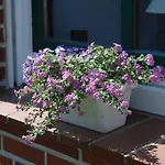 Nachbars Garten Апартаменты Gruenendeich