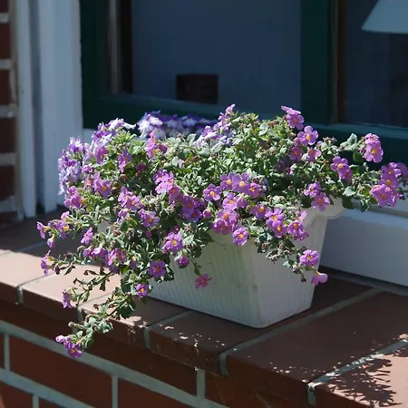 Nachbars Garten 아파트 Grünendeich