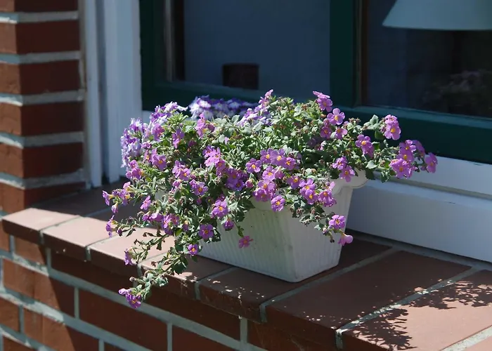 Nachbars Garten Lejlighed Grünendeich